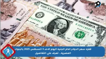قفزة سعر الدولار أمام الجنيه اليوم الأحد 3 أغسطس 2025 بالبنوك المصرية.. تعرف على التفاصيل